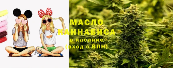 СК Няндома