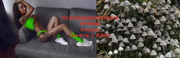 ПСИЛОЦИБИНОВЫЕ ГРИБЫ Нягань